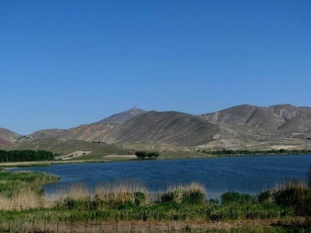 آب حیات در رگ های دومین تالاب آذربایجان: قوری گل احیا می شود