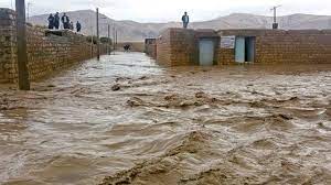 سیل به روستاهای اهر خسارت زد/ 40 راس دام تلف شد+ عکس