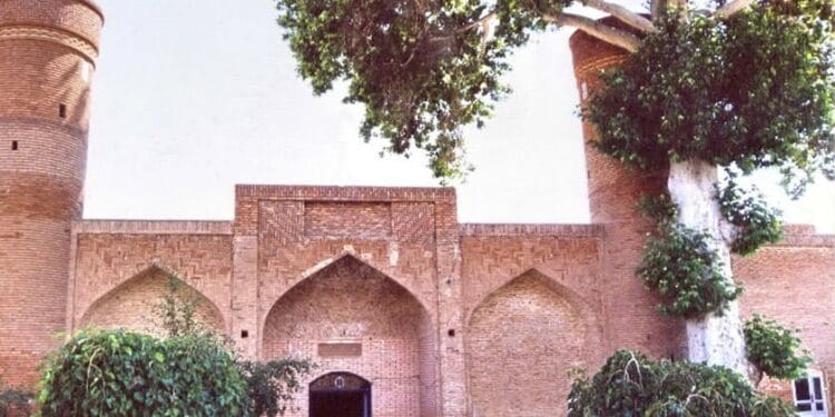 فرهنگی: