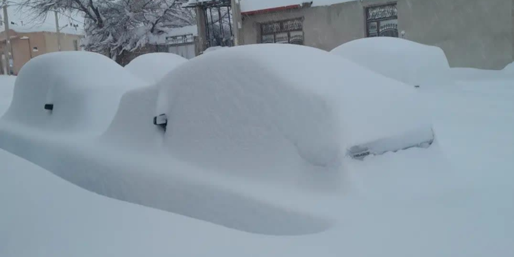 همای علیا، قطب برفی ورزقان!