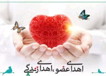 اهدای عضو، اهدای زندگی: