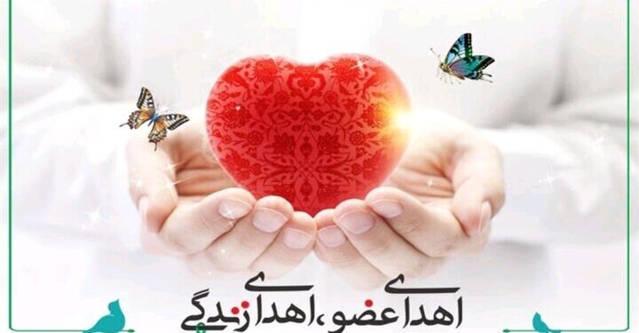 اهدای عضو، اهدای زندگی: