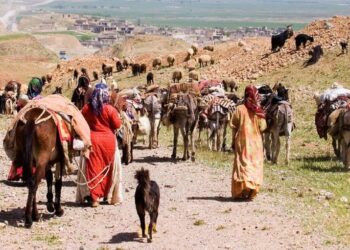 نگارنده: محمد جام کسری