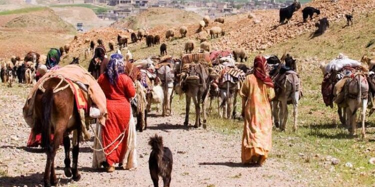 نگارنده: محمد جام کسری