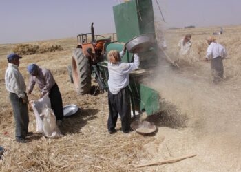 نگارنده: محمدرضا ایازی