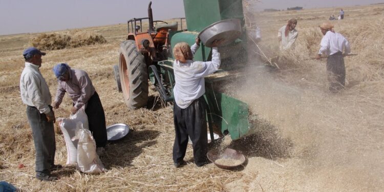 نگارنده: محمدرضا ایازی